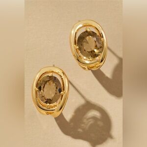 NWT Anthropologie Curve Stone Huggie Hoop Earrings Brown
